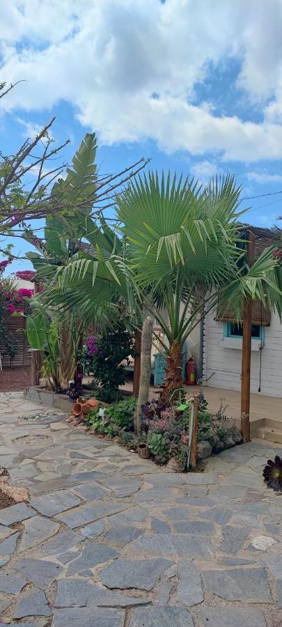 Beautiful Vintage Bungalow Wifi Parking. Las Galletas Exteriör bild